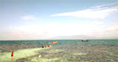 Best of Thai Bay 4วัน3คืน ชุมพร ประจวบ Best of Thai Bay 4วัน3คืน ชุมพร ประจวบ