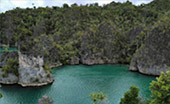 Coral Game 6Days 5Nights Raja-Ampat Coral Game 6Days 5Nights Raja-Ampat