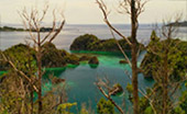 Coral Game 6Days 5Nights Raja-Ampat Coral Game 6Days 5Nights Raja-Ampat
