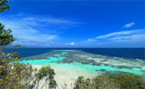 Coral Game 6Days 5Nights Raja-Ampat Coral Game 6Days 5Nights Raja-Ampat