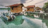 Coral Game 6Days 5Nights Raja-Ampat Coral Game 6Days 5Nights Raja-Ampat