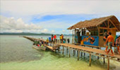 Coral Game 6Days 5Nights Raja-Ampat Coral Game 6Days 5Nights Raja-Ampat
