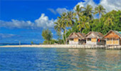 Coral Game 6Days 5Nights Raja-Ampat Coral Game 6Days 5Nights Raja-Ampat