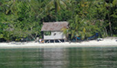 Coral Game 6Days 5Nights Raja-Ampat Coral Game 6Days 5Nights Raja-Ampat