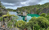 Coral Game 6Days 5Nights Raja-Ampat Coral Game 6Days 5Nights Raja-Ampat