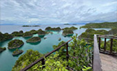 Coral Game 6Days 5Nights Raja-Ampat Coral Game 6Days 5Nights Raja-Ampat