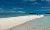 Coral Game 6Days 5Nights Raja-Ampat Coral Game 6Days 5Nights Raja-Ampat