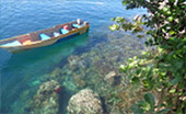 Coral Game 6Days 5Nights Raja-Ampat Coral Game 6Days 5Nights Raja-Ampat