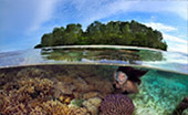 Coral Game 6Days 5Nights Raja-Ampat Coral Game 6Days 5Nights Raja-Ampat