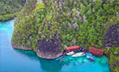 Coral Game 6Days 5Nights Raja-Ampat Coral Game 6Days 5Nights Raja-Ampat