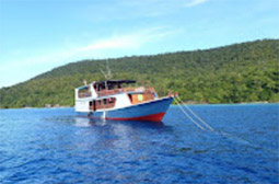 Nomad Cruise: ราจาอัมพัต 7วัน6คืน Nomad Cruise: ราจาอัมพัต 7วัน6คืน