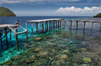 Nomad Cruise: ราจาอัมพัต 7วัน6คืน Nomad Cruise: ราจาอัมพัต 7วัน6คืน