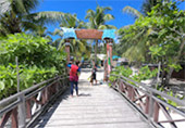 Optimal Experience: ราจาอัมพัต Optimal Experience: ราจาอัมพัต
