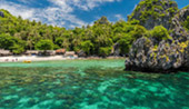 Chumphon: ราชาอัมพัตเมืองไทย Chumphon: ราชาอัมพัตเมืองไทย