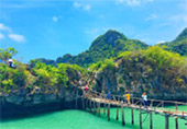 Chumphon: ราชาอัมพัตเมืองไทย Chumphon: ราชาอัมพัตเมืองไทย