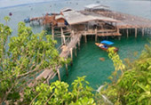 Chumphon: ราชาอัมพัตเมืองไทย Chumphon: ราชาอัมพัตเมืองไทย