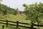 4 วัน 3 คืน ระนอง พยาม บลูสกาย เกาะสุริน 4 วัน 3 คืน ระนอง พยาม บลูสกาย เกาะสุริน