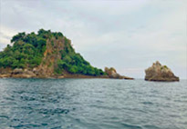 Dream Scenario เกาะหัวใจมรกต เกาะนาวโอพี Dream Scenario เกาะหัวใจมรกต เกาะนาวโอพี