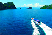 Dream Scenario เกาะหัวใจมรกต เกาะนาวโอพี Dream Scenario เกาะหัวใจมรกต เกาะนาวโอพี