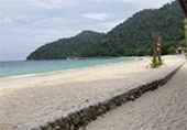 Dream Scenario เกาะหัวใจมรกต เกาะนาวโอพี Dream Scenario เกาะหัวใจมรกต เกาะนาวโอพี