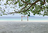 Dream Scenario เกาะหัวใจมรกต เกาะนาวโอพี Dream Scenario เกาะหัวใจมรกต เกาะนาวโอพี