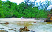 Adventurer or Tourist : สิมิลัน เกาะพยาม Adventurer or Tourist : สิมิลัน เกาะพยาม