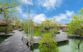 Adventurer or Tourist : สิมิลัน เกาะพยาม Adventurer or Tourist : สิมิลัน เกาะพยาม
