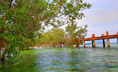 Adventurer or Tourist : สิมิลัน เกาะพยาม Adventurer or Tourist : สิมิลัน เกาะพยาม