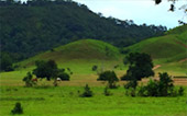 Adventurer or Tourist : สิมิลัน เกาะพยาม Adventurer or Tourist : สิมิลัน เกาะพยาม