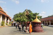 Respect: 9 วัด และม่อนแจ่ม Respect: 9 วัด และม่อนแจ่ม