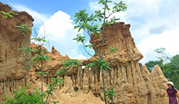 Soul Retreat เชียงราย พะเยา น่าน Soul Retreat เชียงราย พะเยา น่าน