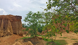 Soul Retreat เชียงราย พะเยา น่าน Soul Retreat เชียงราย พะเยา น่าน