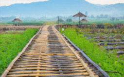 Soul Retreat เชียงราย พะเยา น่าน Soul Retreat เชียงราย พะเยา น่าน