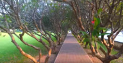 Soul Retreat เชียงราย พะเยา น่าน Soul Retreat เชียงราย พะเยา น่าน