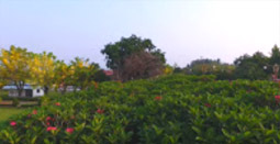Soul Retreat เชียงราย พะเยา น่าน Soul Retreat เชียงราย พะเยา น่าน