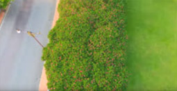 Soul Retreat เชียงราย พะเยา น่าน Soul Retreat เชียงราย พะเยา น่าน