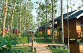 Soul Retreat เชียงราย พะเยา น่าน Soul Retreat เชียงราย พะเยา น่าน