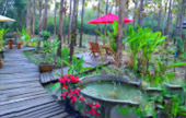 Soul Retreat เชียงราย พะเยา น่าน Soul Retreat เชียงราย พะเยา น่าน