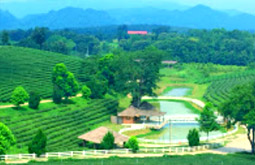 Soul Retreat เชียงราย พะเยา น่าน Soul Retreat เชียงราย พะเยา น่าน