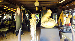 Soul Retreat เชียงราย พะเยา น่าน Soul Retreat เชียงราย พะเยา น่าน