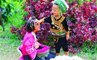 Sakura Doi: อินทนนท์และขุนวาง... Sakura Doi: อินทนนท์และขุนวาง...