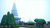 Sakura Doi: อินทนนท์และขุนวาง... Sakura Doi: อินทนนท์และขุนวาง...