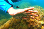 Signature Points: หมู่เกาะง่าม Signature Points: หมู่เกาะง่าม