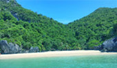 65 ชั่วโมง เกาะพะลวย - หมู่เกาะอ่างทอง 65 ชั่วโมง เกาะพะลวย - หมู่เกาะอ่างทอง