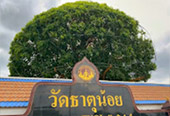 Art Daemon สุราษฯ นครศรี ฯ เขื่อนเชี่ยวหลาน Art Daemon สุราษฯ นครศรี ฯ เขื่อนเชี่ยวหลาน