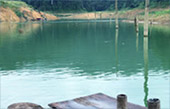 Bucket list: เขาสก - เขื่อนเชี่ยวหลาน 3วัน2คืน Bucket list: เขาสก - เขื่อนเชี่ยวหลาน 3วัน2คืน