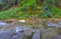 Bucket list: เขาสก - เขื่อนเชี่ยวหลาน 3วัน2คืน Bucket list: เขาสก - เขื่อนเชี่ยวหลาน 3วัน2คืน