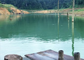 Bucket list: เขาสก - เขื่อนเชี่ยวหลาน 3วัน2คืน Bucket list: เขาสก - เขื่อนเชี่ยวหลาน 3วัน2คืน