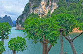 Bucket list: เขาสก - เขื่อนเชี่ยวหลาน 3วัน2คืน Bucket list: เขาสก - เขื่อนเชี่ยวหลาน 3วัน2คืน