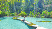 Bucket list: เขาสก - เขื่อนเชี่ยวหลาน 3วัน2คืน Bucket list: เขาสก - เขื่อนเชี่ยวหลาน 3วัน2คืน
